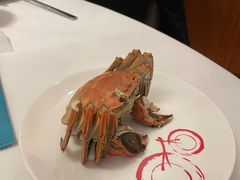 -圆苑(金茂店)