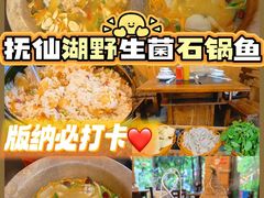 -抚仙湖生态石锅鱼野生菌(告庄店)