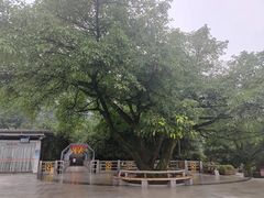 -南山植物园