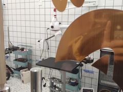 -BABIT巴比特宠物(MOMOPARK店)