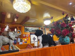 -如意林卡藏餐吧(大昭寺店)
