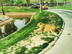 -北京野生动物园