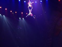 -珠海横琴长隆《卡卡虎奇遇记》