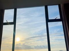 -广东惠东海龟国家级自然保护区