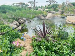 -罗红摄影艺术馆