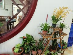 -丽泽山庄·生态怀柔菜·虹鳟鱼(红螺寺店)