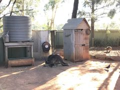 -费瑟代尔野生动物园