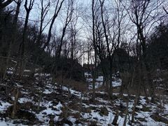 -武当山风景区