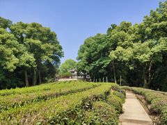 -西湖风景区十里琅珰-五云山