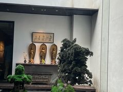 -觀芷隐轩
