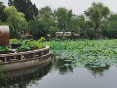 -无锡蠡湖国家湿地公园-蠡园