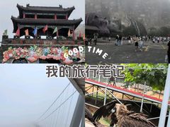 -西霞口神雕山野生动物世界