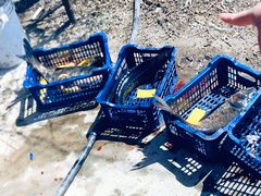 -姥家大锅台水库渔家