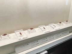 -杭州工艺美术博物馆