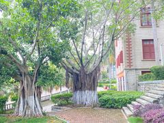 -厦门大学(思明校区)