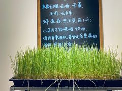 -朵朵开素食餐厅(后宰门街店)