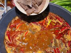 -阳阳老火锅(小南门店)