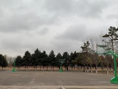 -沈阳市中医药学校