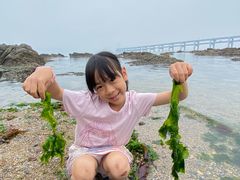-黑石礁公园