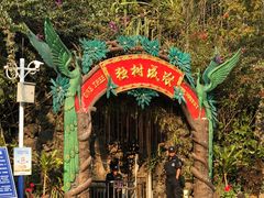 -瑞丽独树成林风景区