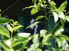 -行山咖啡(南湖店)