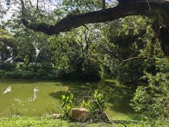 -人民公园(罗湖区)