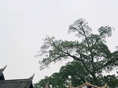 -峨眉山报国寺