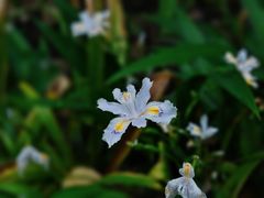 -苏州河梦清园环保主题公园