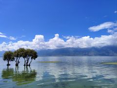 -大理洱海