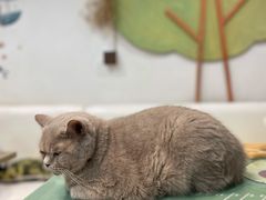 -小时光咖啡馆(北锣鼓巷店)