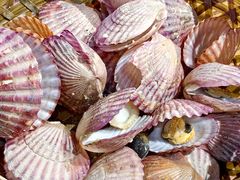 -蚝堡海鲜·威海菜·海肠捞饭·烧烤·亚洲吃蚝公司(幸福门店)