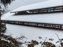 -钟鼎寺