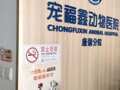-宠福鑫康馨动物医院·骨科·眼科