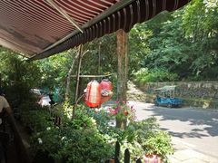 -国生茶庄·地道农家菜团建活动