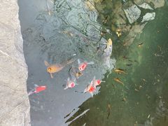 -新荣记(西溪湿地店)