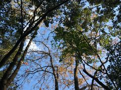-牛鱼嘴原始生态风景区