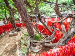 -红螺寺