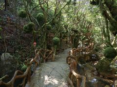 -牛鱼嘴原始生态风景区