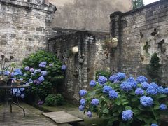 -金谷域澳洲庄园