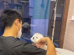 -FAELING PETS美天灵宠物(富力广场店)