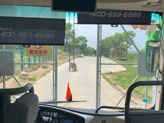 -西安秦岭野生动物园