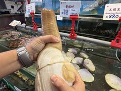 -南丫岛