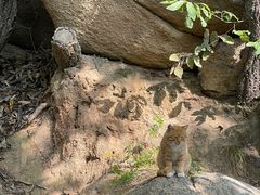 -天津盘山风景名胜区
