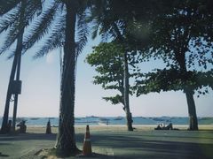 -卷心菜和避孕套餐厅(Pattaya)