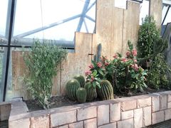 -北京植物园-展览温室