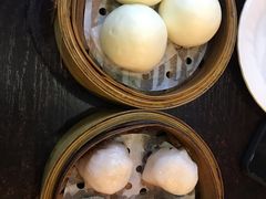 添运来虾饺皇-添运来(茶园奥园广场店)