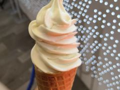 -维维豆奶(金鹰新街口店)