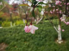 -杭州城北体育公园