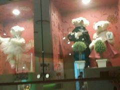 android_upload_pic-济州岛泰迪熊博物馆