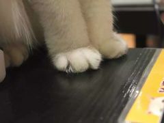 -小时光咖啡馆(北锣鼓巷店)